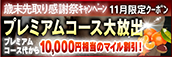 【11月限定】プレミアム★マイルクーポン